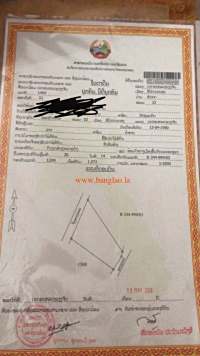 T00175